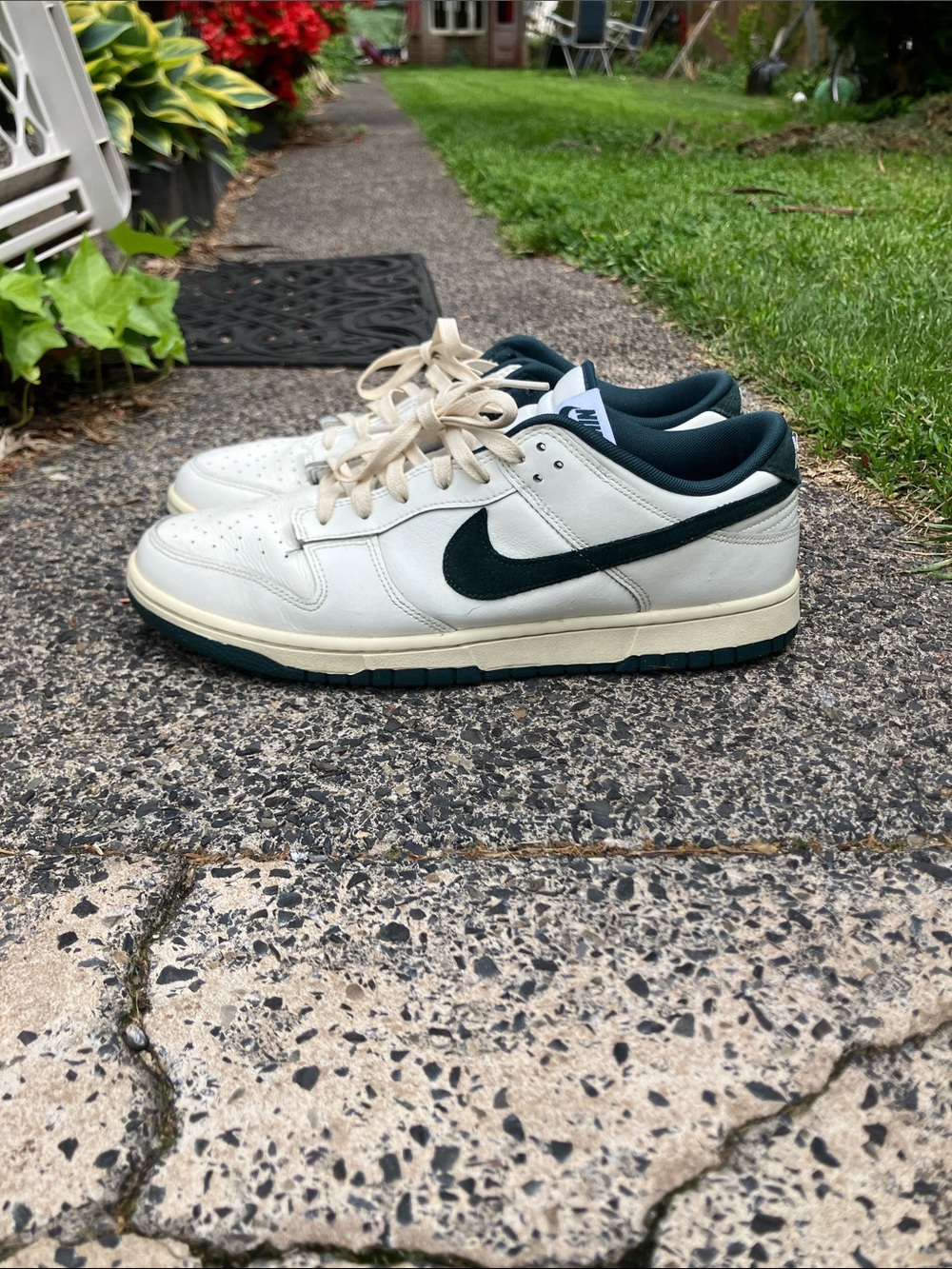 Dunk lo - Picture 3 of 5